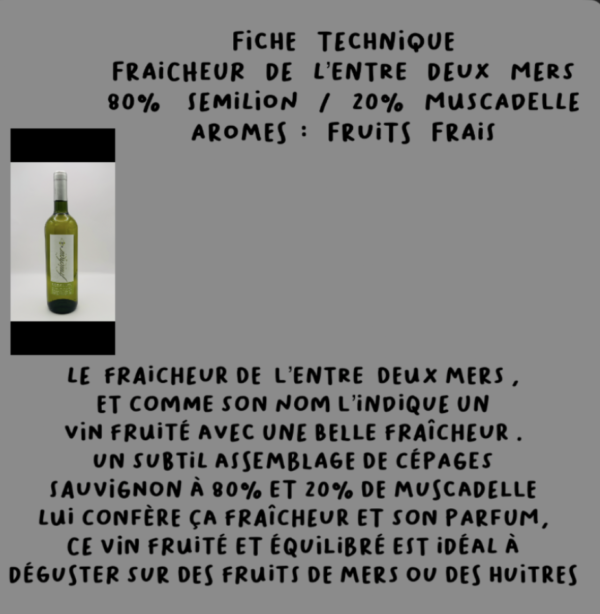 Fraîcheur de l'entre 2 mers – Image 2